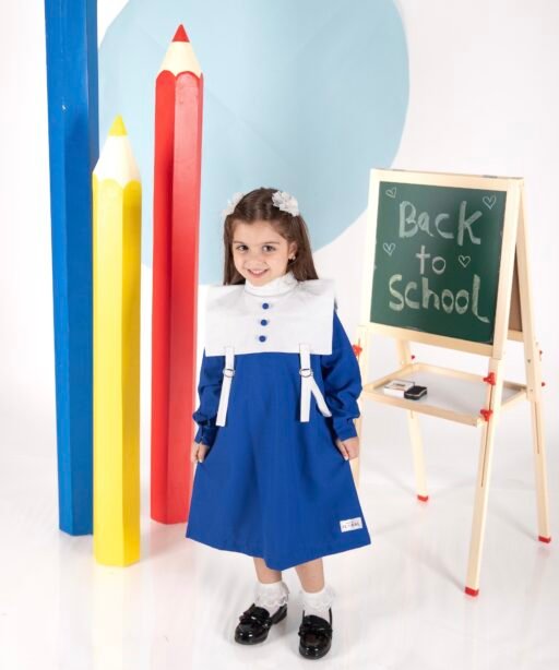 Alternative view of School #5